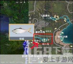 和平精英绿洲世界,钓鱼大赛全解析与夺冠秘籍