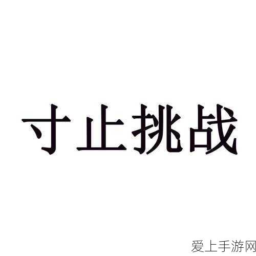 寸止挑战buy1take2 J.O.I第二期_:全新升级版寸止挑战:买一送二,尽享双重乐趣!