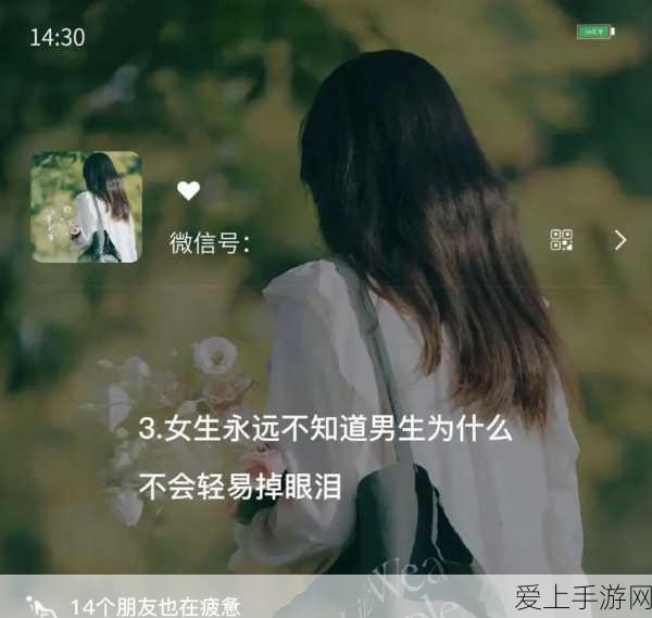 男生和女生愁愁愁很痛大全:男生女生面对烦恼与忧愁的心灵共鸣大全