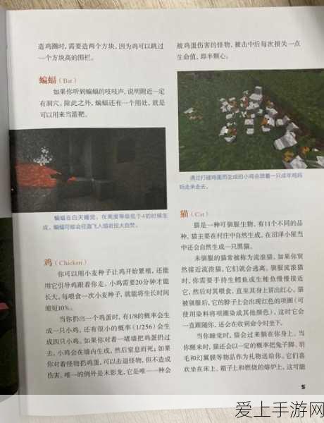 🔥我的世界新手必看!从零开始的冒险指南,基础操作全揭秘