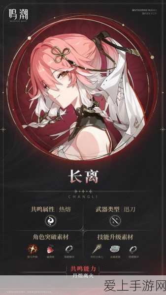 DNF手游宠物获取秘籍，解锁五星宠物的高效攻略