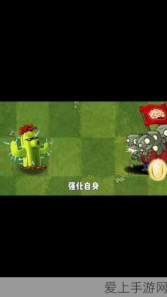 阴阳师攻略，高效肝绘卷技巧大揭秘