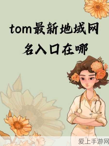 tom地域网名入口在哪:拓展tom地域网名的详细入口及使用指南分享