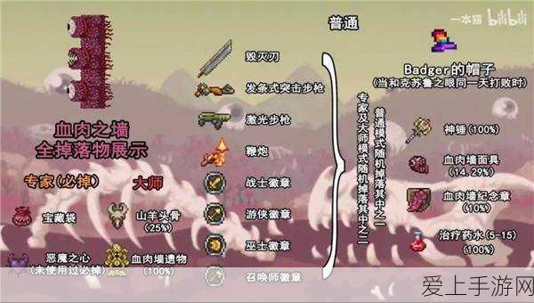 泰拉瑞亚深度攻略,解锁各时期顶尖长矛,制霸冒险之旅