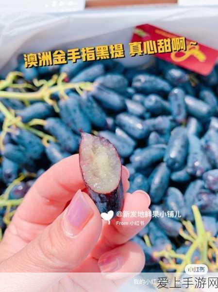 创魔海鳄龙追踪指南，揭秘稀有生物刷新地点与捕捉技巧