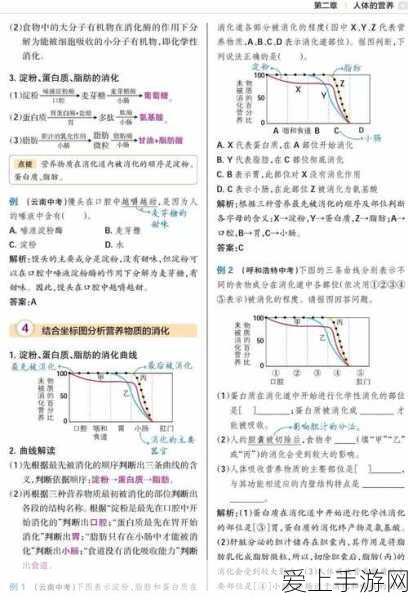 一区二区区别：“深入解析拓展区与传统城区的显著差异”