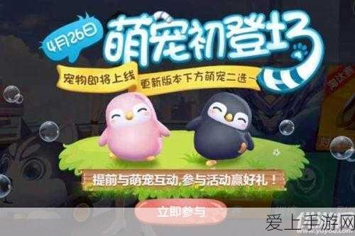 QQ飞车手游周年庆，独家宠物获取全攻略，解锁稀有萌宠不是梦！