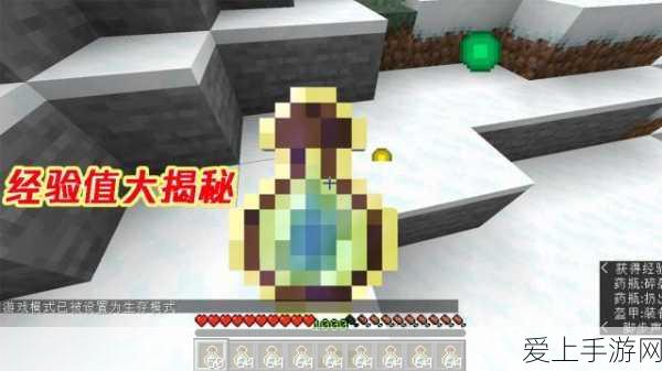 揭秘我的世界末影螨诞生奥秘,详尽步骤与机制攻略大赛