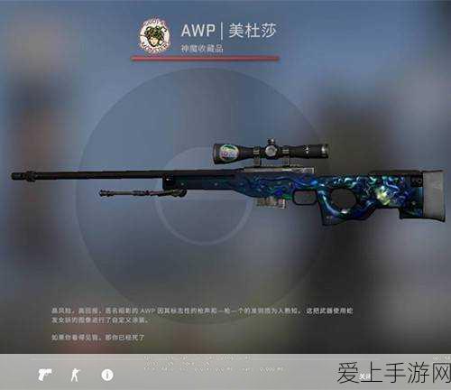 日本csgo大姐姐awp价格表:“全面解析日本CSGO大姐姐AWP价格及市场趋势”