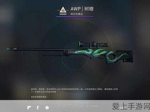 日本csgo大姐姐awp价格表:“全面解析日本CSGO大姐姐AWP价格及市场趋势”