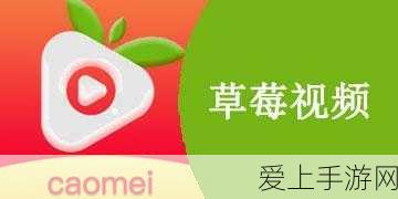草莓视频网址