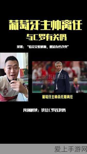 阴阳师手游，犬神反击流阵容深度剖析，竞技场制胜秘籍！