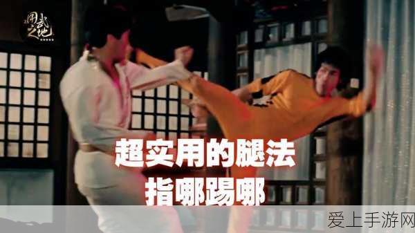 神子腿法娴熟脚法:“提升神子腿法技艺,精进脚法的全新境界”