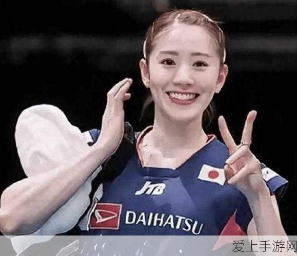 阿加雷斯特战记，深度解析与策略玩法全揭秘