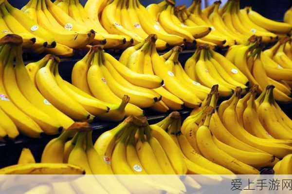 香蕉 APP人口:拓展香蕉:探索新鲜水果的无限可能与美味之旅