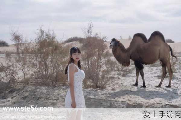 星露谷物语海莉红心事件完美触发秘籍