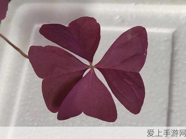 手游资讯，一梦江湖童趣玩法全攻略，打造你的梦幻童年！
