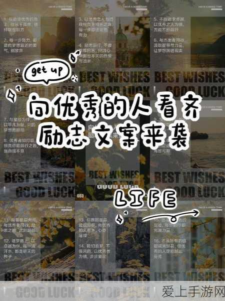 1v2从小开始校园:从校园起步,拓展1v2技能,实现卓越成长之路