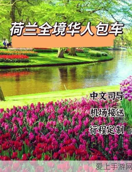 性荷兰:探索荷兰的多样文化与自然魅力之旅