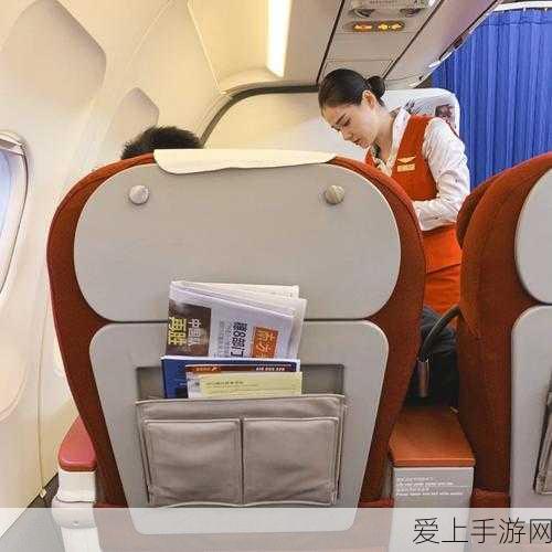 国内自产一品二品三品打飞机:国内自产一品二品三品,助力飞行体验新升级!
