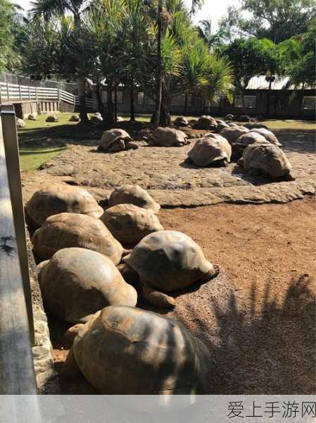 伊甸园入囗:探索伊甸园的秘密与奇迹之旅:重新定义乐土入囗