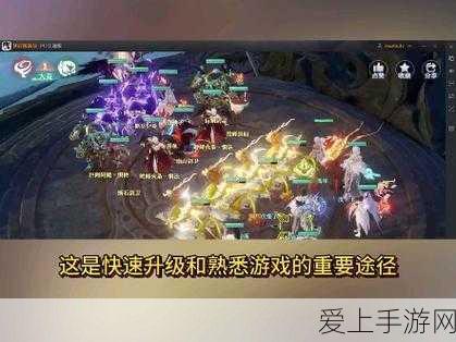 PVZBT 版植物全揭秘，图鉴大全与深度解析