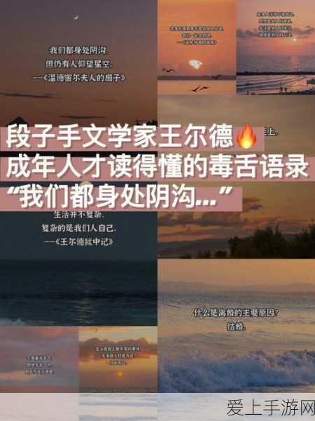 炉石传说，卡拉赞之夜深度解析，亡语宇宙骑卡组称霸天梯