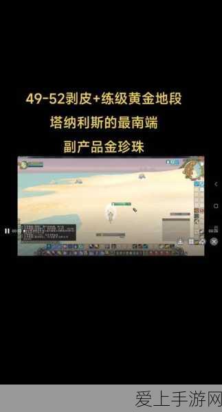 绝区零深度攻略，揭秘幸存者救援任务的高效完成策略