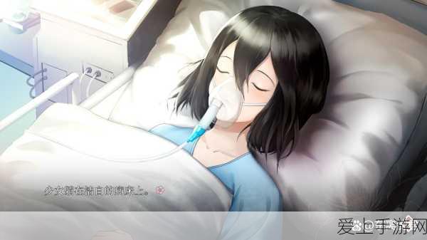 把坤放进女生的桃里的游戏:坤踏桃花源:探索女生心灵世界的奇妙旅程