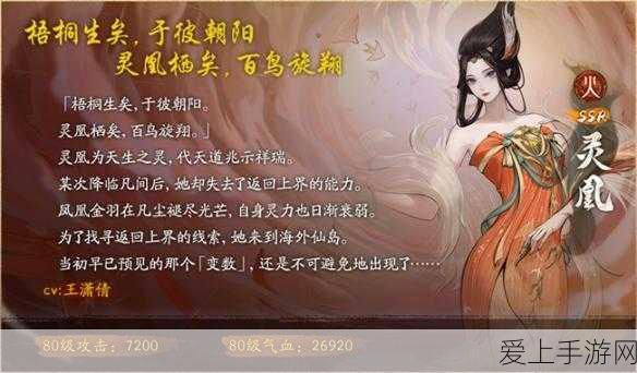航海王热血航线，开服时间与战绩查询全攻略
