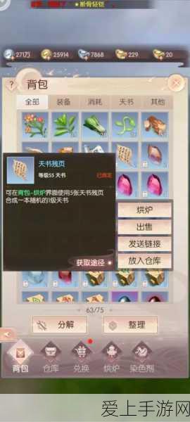 剑灵高手必备，星连诛洪连技能深度解析与实战攻略