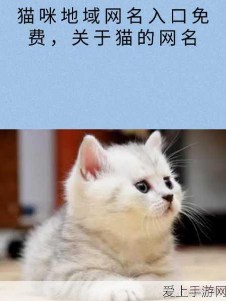 独家揭秘，最强祖师潜入宗门，宗门争霸赛全攻略