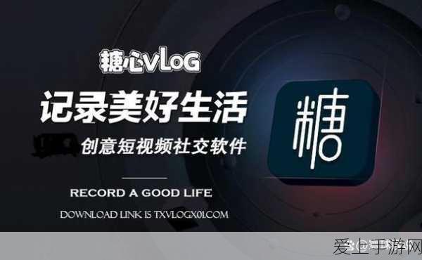 幻兽揭秘，帕鲁女皇蜂的性别之谜与竞技盛宴