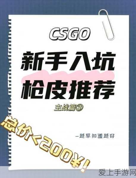 暴躁老阿姨CSGO秘籍:掌握暴躁老阿姨的CSGO绝妙秘籍与技巧大公开