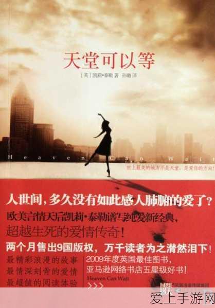 地铁跑酷高分秘籍，倍数飙升技巧大揭秘