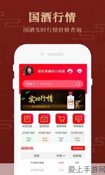 万国觉醒压堡战术揭秘，高手玩家的制胜秘籍