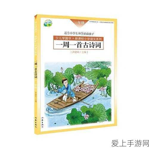 适合十八岁以上人士:适合成年人阅读的精彩书籍推荐,助你拓展视野与思维。