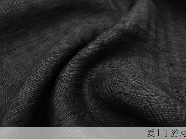黑色肾虚十八连:“揭示黑色肾虚十八连的深层原因与调理方法”