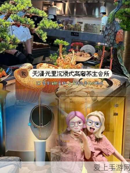 青娱乐极品视觉盛晏：青娱乐极品视觉盛宴，尽享视听魅力与艺术之美