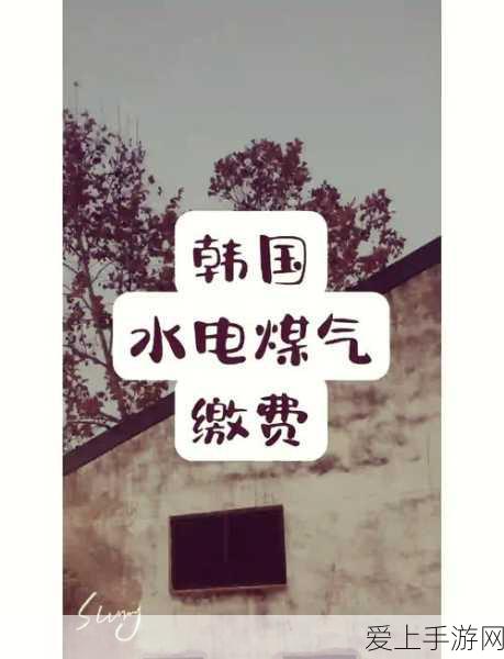 韩国三色电费一般几天恢复：韩国三色电费恢复时间一般需要多久？