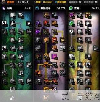 wlk盗贼pve天赋：全面解析Wlk盗贼PVE天赋及最佳加点策略建议