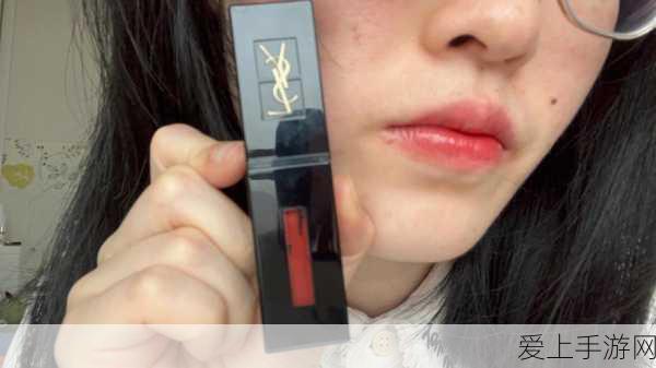 怀旧服WLK巅峰之战，惩戒骑攻略大揭秘，天赋选择与输出手法全解析