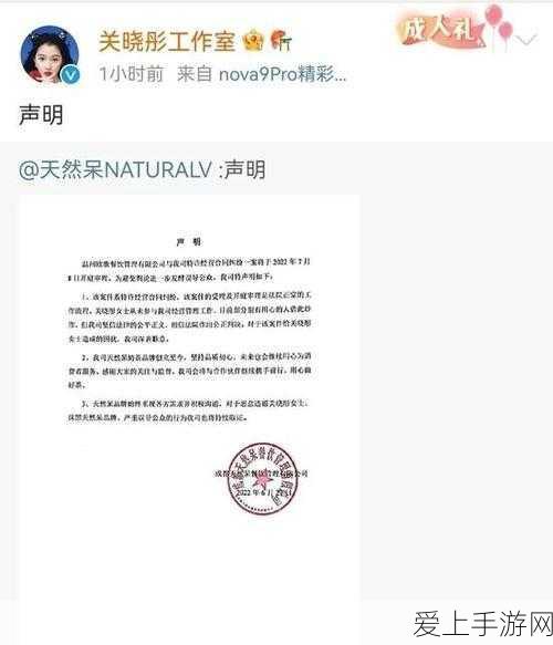 梦幻花园无限生命秘籍大揭秘，解锁高分攻略与趣味挑战
