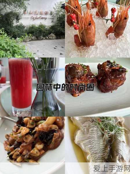 梦幻花园无限生命秘籍大揭秘，解锁高分攻略与趣味挑战