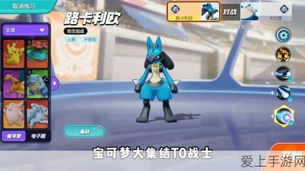 宝可梦大集结,路卡利欧技能搭配攻略,解锁竞技场制胜秘籍