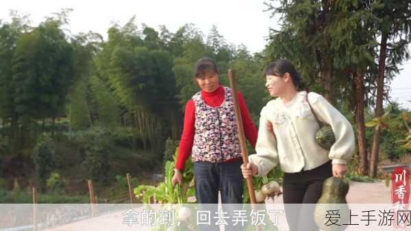 甘雨拔萝卜风险:甘雨拔萝卜的风险与挑战:如何应对季节性变化?