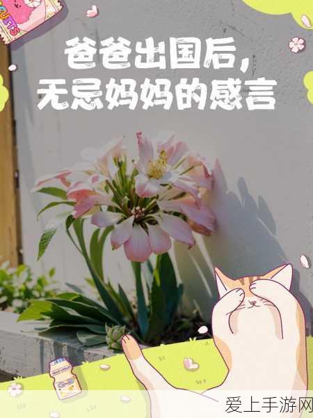 宝可梦大集结新手必知，五选一秘籍与宝可梦全名片