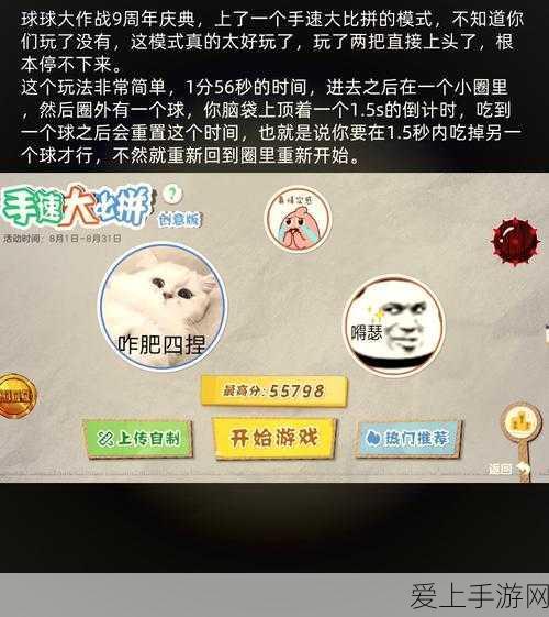 航海王，热血航线传奇伙伴自选活动周期揭秘及深度解析