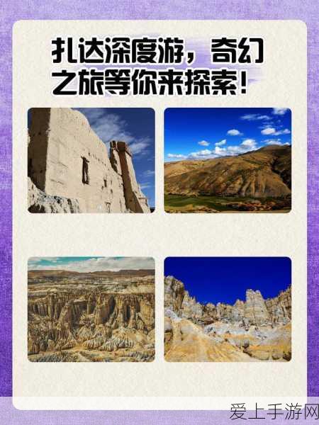 探秘放开那三国新版寻龙探宝，深度玩法与玩家热议全揭秘