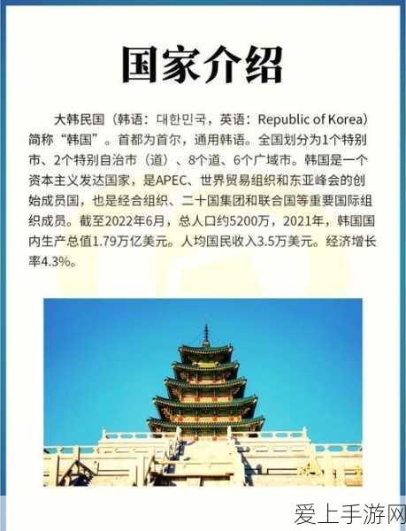 探秘放开那三国新版寻龙探宝，深度玩法与玩家热议全揭秘